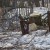 Эксплуатация кладбища в селе Ново-Воронино может прекратиться уже осенью