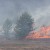 Большая часть лесных пожаров в Томской области происходит по вине людей