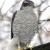 Хищник в городе: утки, зимующие у Аптекарского моста, в опасности