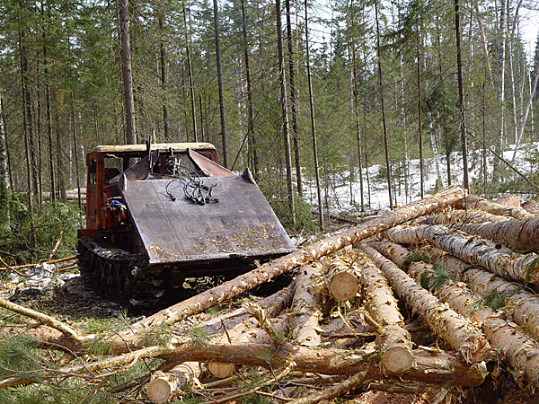 Нужно вывести из леса 35 бревен трактор. Лесоделяна. Захват на тт4 для леса. Тверская область заготовка леса Тайга.