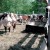 Кривошеинский район пережил засушливое лето и зиму 2012/13, не сократив поголовья скота и не снизив объемов производства
