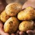 Почвовед-агрохимик Галина Пашнева выращивает из одного клубня ведро картофеля