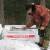 Кедрач на продажу: жители села Петрова пытаются отстоять припоселковый лес