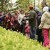 На международный День растений в ботанический сад ТГУ пришло  почти 700 томичей
