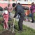 В 2016 году в Томске будет высажено 15 тысяч деревьев и кустарников