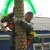 Житель Богашево два года собирал бутылки, чтобы построить пальму