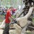 К «Празднику топора» в Томской области появятся новая «деревня» и мини-зоопарк