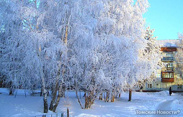 Суровые зимы в Сибири - это нормально, считают томичи.