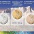 В почтовых отделениях г. Томска появились марки, посвященные наградам Паралимпийских игр в Сочи 2014 года