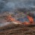 За минувшие сутки в регионе ликвидировано семь лесных пожаров