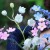 В этом году в Томске будет высажено 373 тысячи летних цветов