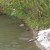 Качество воды в реке Ушайка улучшилось