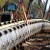Строительство газопровода «Алтай», возможно, сдвинется с мертвой точки
