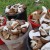 За прошедшую неделю сотрудниками полиции в Томском районе найдены восемь заблудившихся грибников