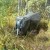 В опрокинувшемся автомобиле пострадали 3 пассажира