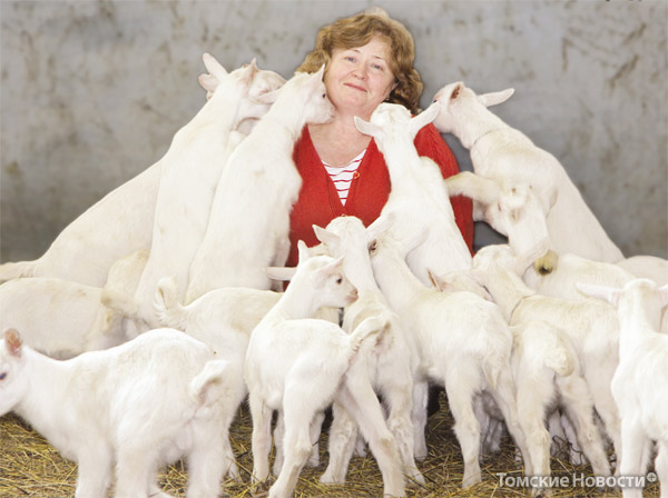 Галина Потапова, хозяйка козьей фермы в Старой Ювале, уже посчитала, сколько козьего молока она сможет дать на производство моцареллы