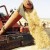 Как в Сибири достичь урожайности пшеницы 53 центнера с гектара?