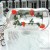 В Почтамтском сквере Томска появились ледовые композиции с вмороженными цветами