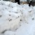 К вывозу снега с улиц Томска подключились соцпартнеры администрации