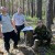 Специалисты спасают леса Томского района от нашествия шелкопряда