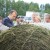 Межрегиональный слет аграриев уже в третий раз прошел в Томской области