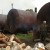 В Шегарском районе открылось производство древесного угля