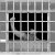 Бизнес на заключенных. В России предлагают создать частные тюрьмы