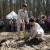 В Кисловке добровольцы высадили 20 тысяч хвойных деревьев и попутно погуляли на свадьбе