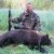 Хищническое изобилие или на пути к коммерческой «медведизации» томского охоттуризма