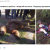 Новость об асиновском медведе-убийце оказалась фейком