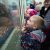 ТОО Союза журналистов России совместно с компанией «МегаФон» организовало поездку детей сотрудников томских СМИ в Северский зоопарк