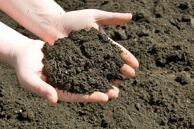 Каждый хозяин заветных соток может попытаться самостоятельно определить состав почвы. Это народный метод, безусловно, он не претендует на научный.