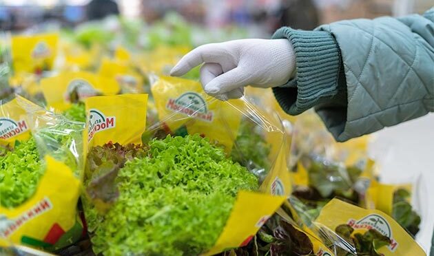 Объем российского рынка «зеленой» продукции составит более 15 млрд рублей к 2024 году