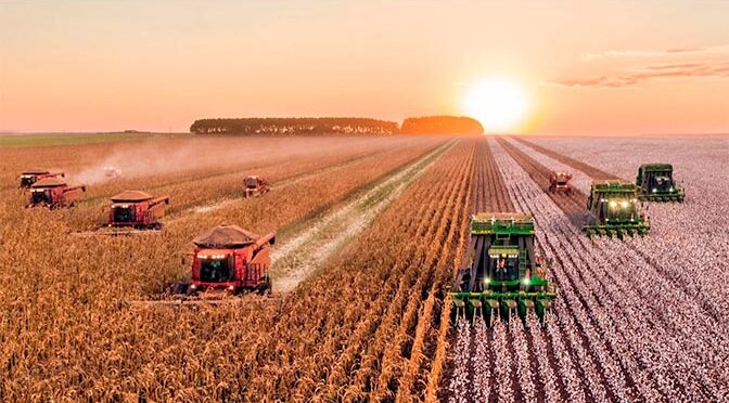 «Аграрная сверхдержава»: РСХБ назвал точки роста АПК на горизонте 2030 года