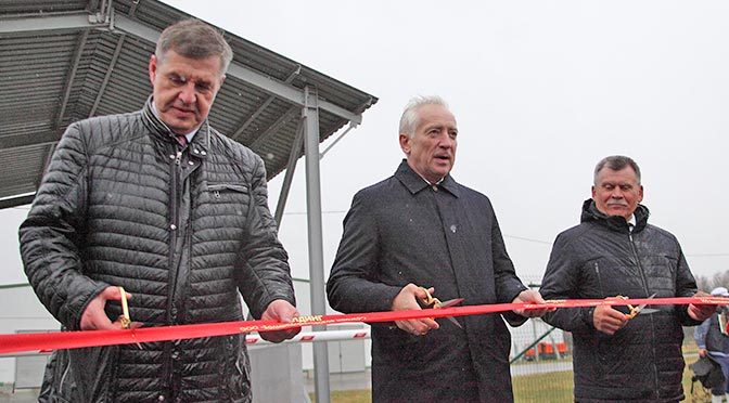 Зачем буренке карусель?