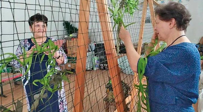 «Серебро» на вес золота