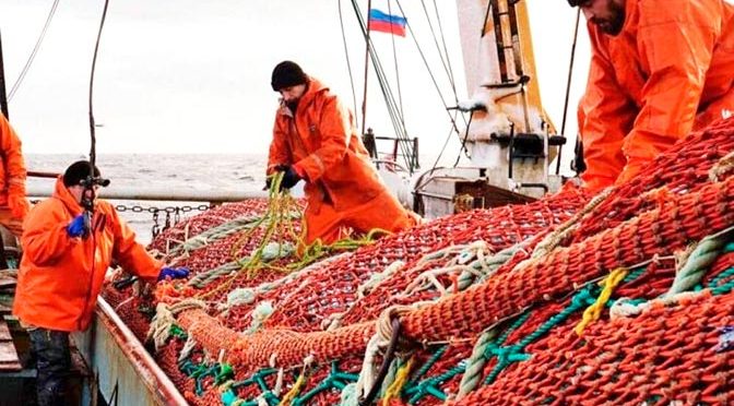 Спрос молодёжи на вакансии в РХК вырос на 57% за год – РСХБ