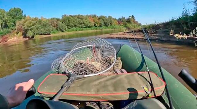 Рыбный форум: интерес россиян к аквакультурному туризму вырос на 20% – РСХБ